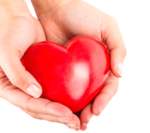 Ein Herz in einer Hand für den Kurs Bls-Aed SRC des Swiss Resuscitation Council